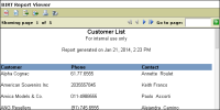Figure 1-35 Report preview showing formatted report title