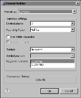 Figure 16-20 Format Builder for Currency data