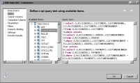 Figure 12-24 Updated SELECT query in Edit Data Set