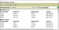 Figure 13-37 Currency format in the report preview