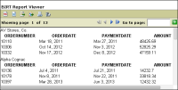 Figure 12-26 Report preview showing side-by-side subreports