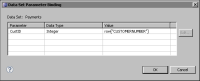 Figure 12-22 Modified data set parameter binding for the Payments table