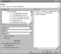Figure 12-2 Query for Customers data set