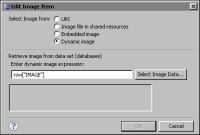 Figure 4-6 New Image Item showing the dynamic image expression