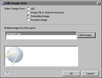 Figure 4-4 New Image Item showing embedded image name