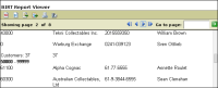 Figure 7-14 Report preview showing the text displayed by the text element