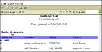 Figure 7-20 Report preview showing a total number of customers