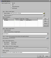 Figure 18-7 Hyperlink properties drill-through options sample entries