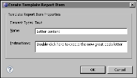 Figure 19-5 Providing instructions for a template report item