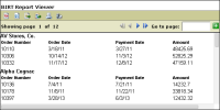 Figure 13-35 Changed date formats in the report preview