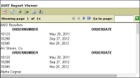 Figure 12-14 Preview of the report showing repeated order records
