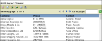 Figure 1-30 Report preview showing concatenated contact names